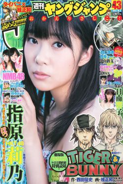甲洞国语版